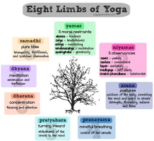 8 limbs of yoga